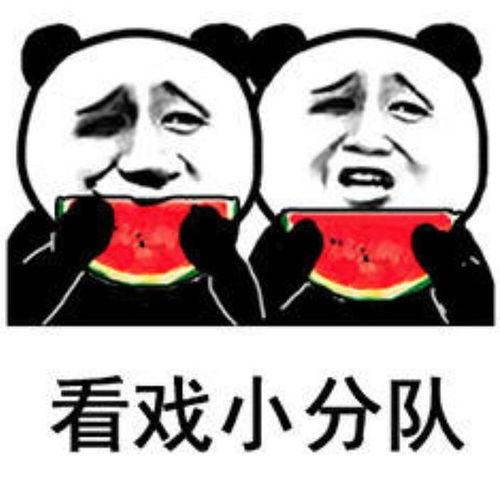 吃瓜娱乐小狗表情包 吃瓜娱乐小狗表情包